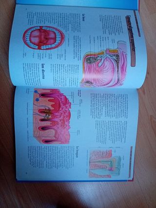 Libro El cuerpo humano