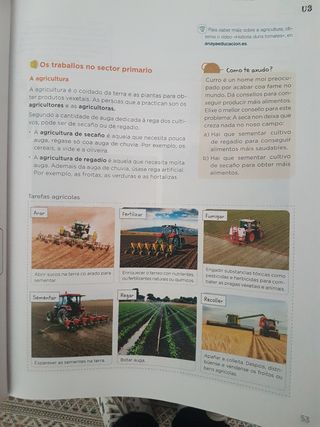 Libros 4° Primaria 