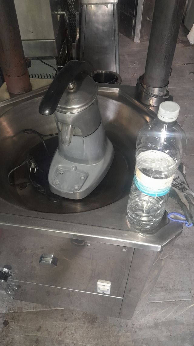 Exprimidor profesional