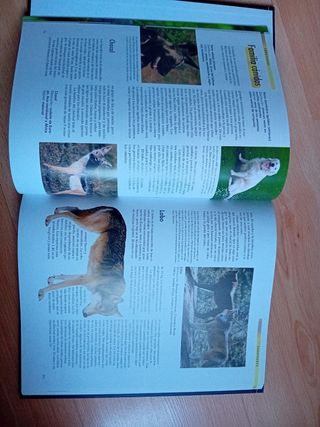 Libro: Mamíferos 