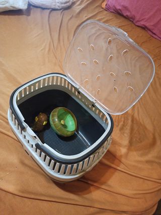 Trasporte animales pequeños