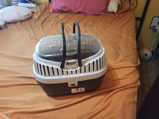 Trasporte animales pequeños