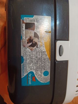 Trasporte animales pequeños