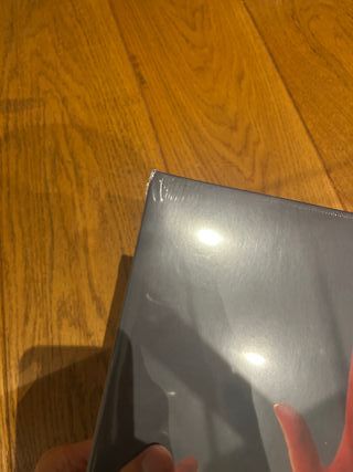 Boygenius-The Record (vinilo plata limitado)