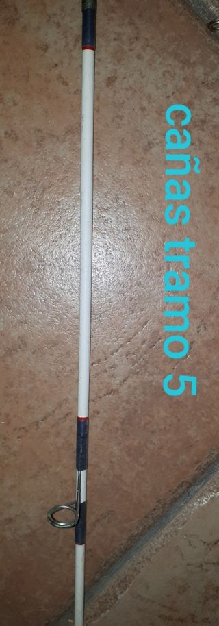 Cañas de pescar y salabre.