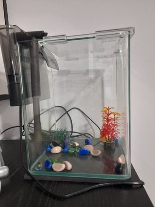 Acuario 11 litros