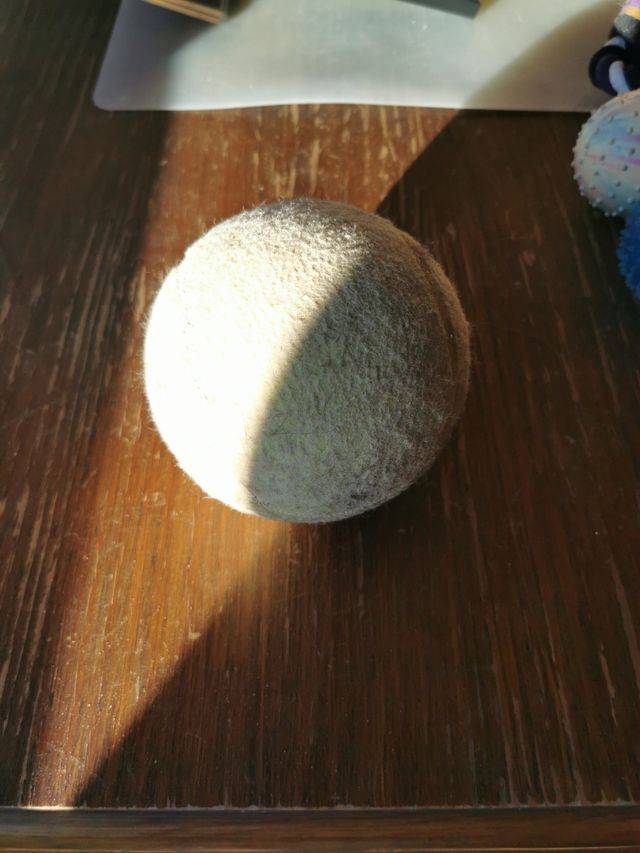 Pelota Juguete Mascota