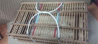 Transportín de madera para aves