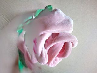 Rosa simpatica in stoffa (769)