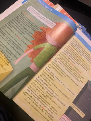 Lengua SM 4 Primaria