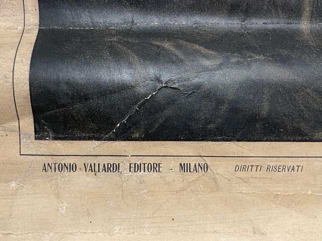 Antichita - Poster San Francesco