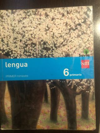Lengua 6 primari