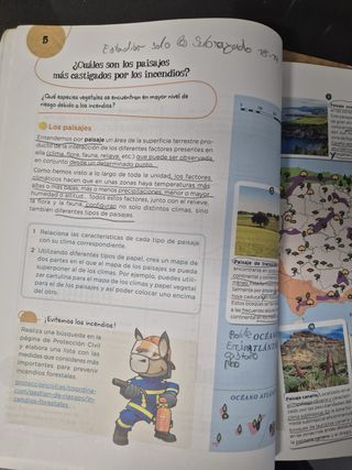 Ciencias sociales 4 primaria Anaya