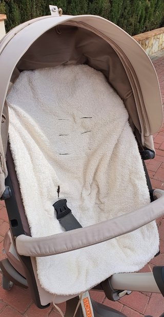 Carro Stokke