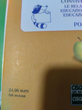 Guide didattiche scuola primaria Immedia