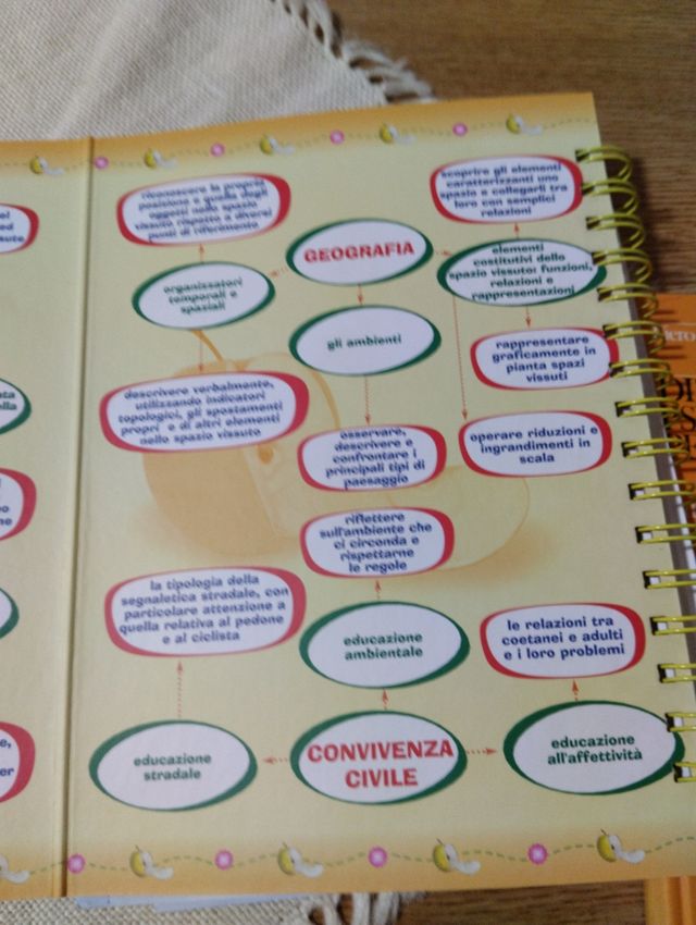 Guide didattiche scuola primaria Immedia