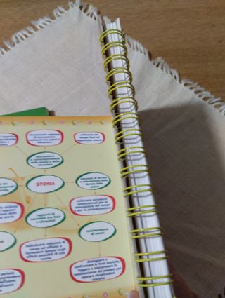 Guide didattiche scuola primaria Immedia