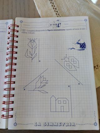 Guida didattica di matematica