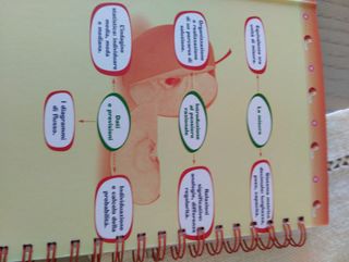 Guida didattica di matematica