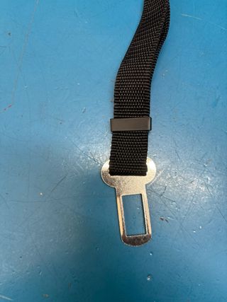 Correa sujeccion perro para coche