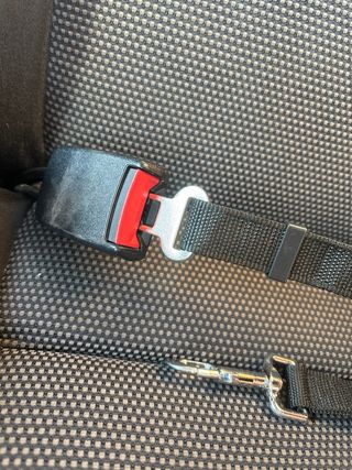 Correa sujeccion perro para coche