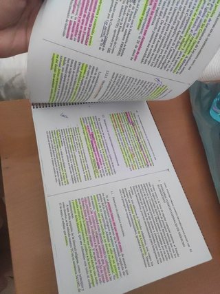 El fenómeno religioso en el ordenamiento