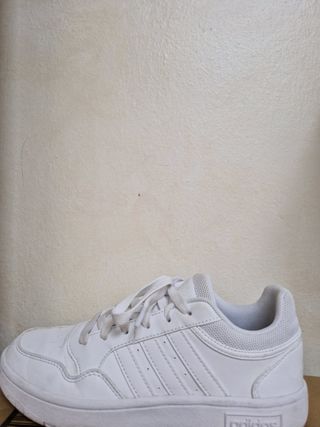 Zapatillas