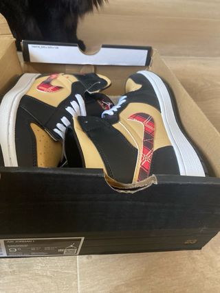 Nike Air Jordan