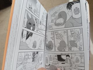 Diario de nuestra vida entre gatos