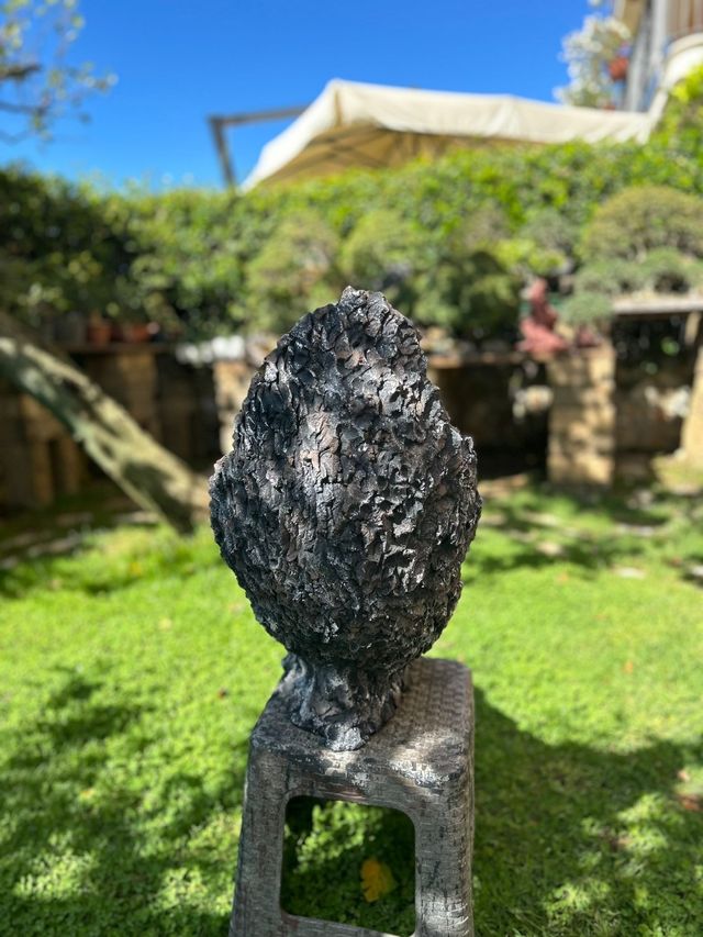 Vaso bonsai pietra di luna 🌙