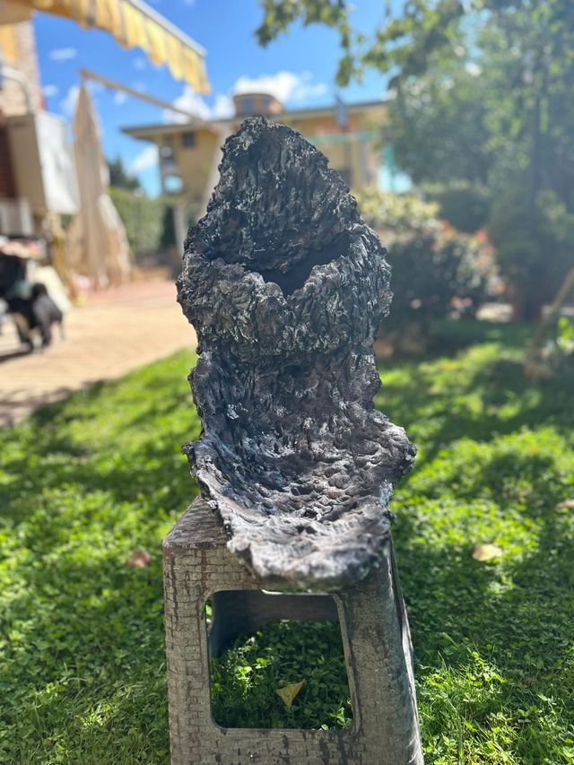 Vaso bonsai pietra di luna 🌙