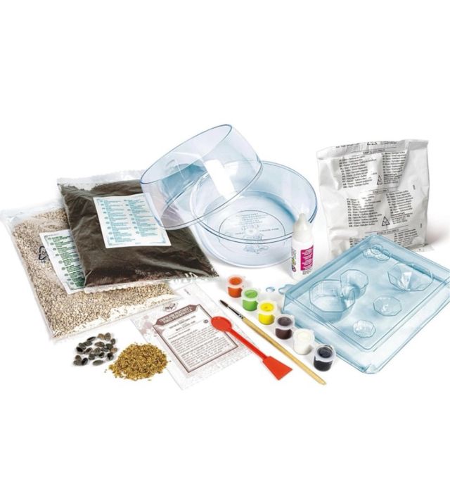 Terrario Harry Potter