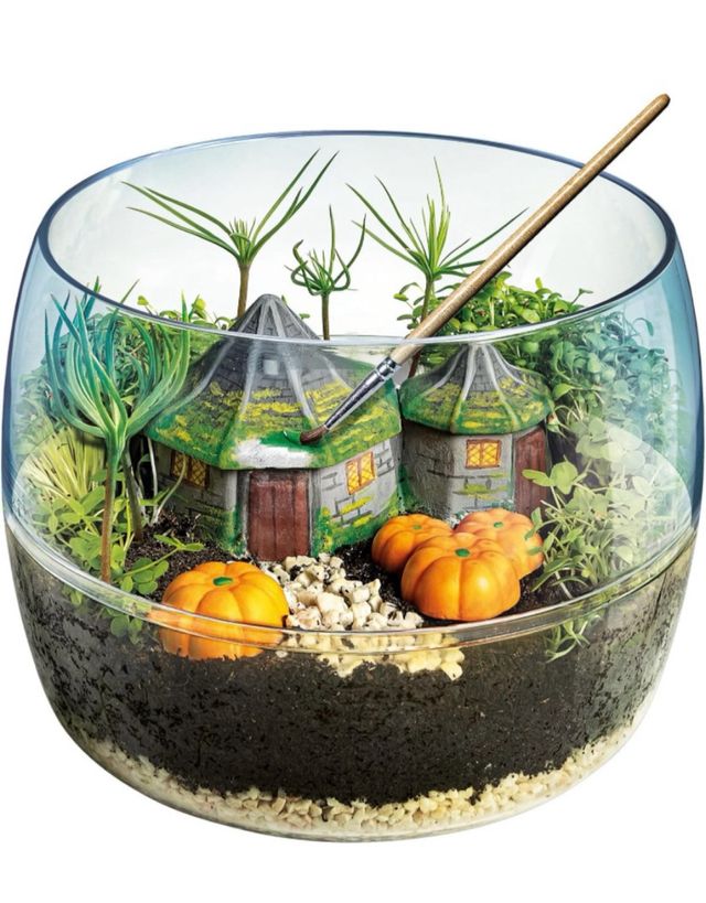 Terrario Harry Potter