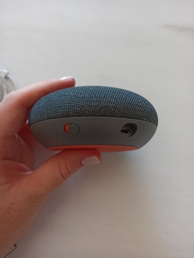 Google home mini