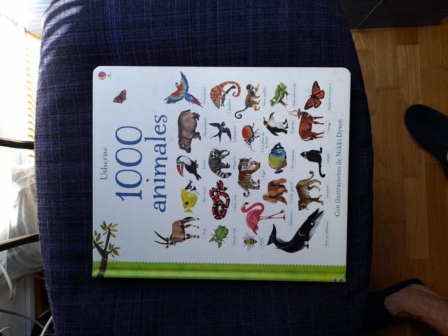 Libros varios niños