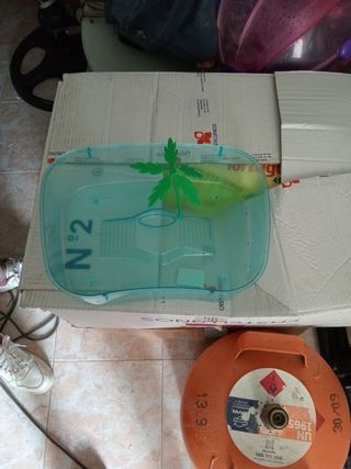 Piscina para tortugas