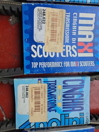 Correa polini kevlar