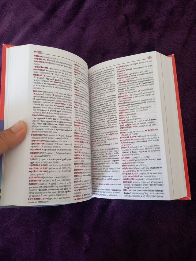 Diccionario Larousse Francés pocket