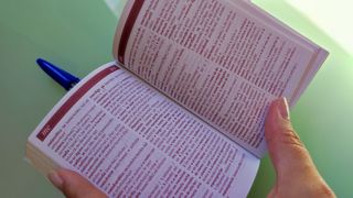 Diccionario Mini Laurousse francés