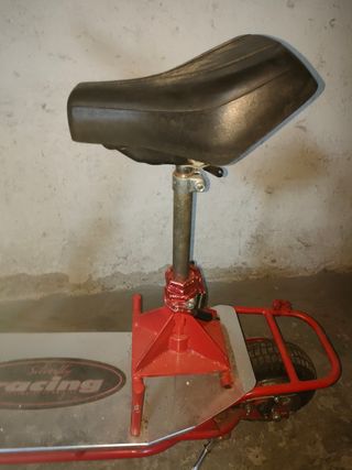 Monopattino elettrico 