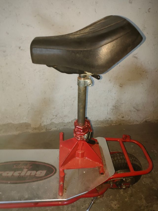 Monopattino elettrico 