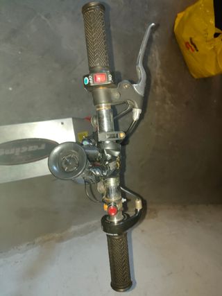 Monopattino elettrico 