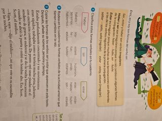 Lengua 4 primaria SM