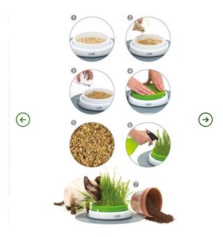 Macetero cesped para gato