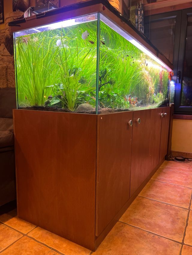 Acuario agua dulce 630 litros Aquario completo