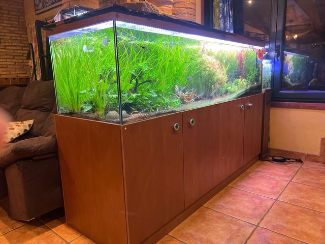 Acuario agua dulce 630 litros Aquario completo