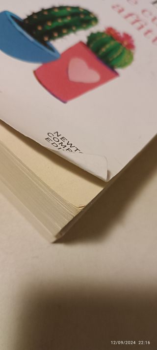 Innamorati pazzi e due cuori in affitto