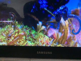Monitor pc samsung