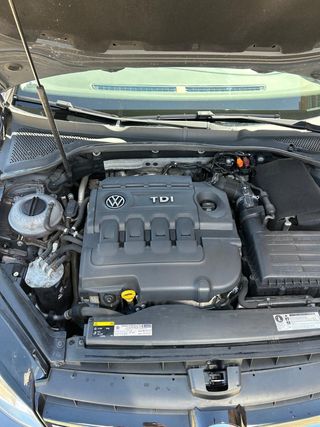 Volkswagen Golf 2013