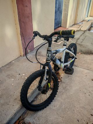 Bicicleta 16